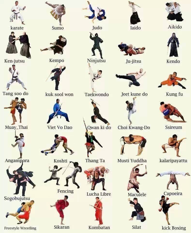 Martial Arts Exercises: Essential Training Methods for Combat Disciplines