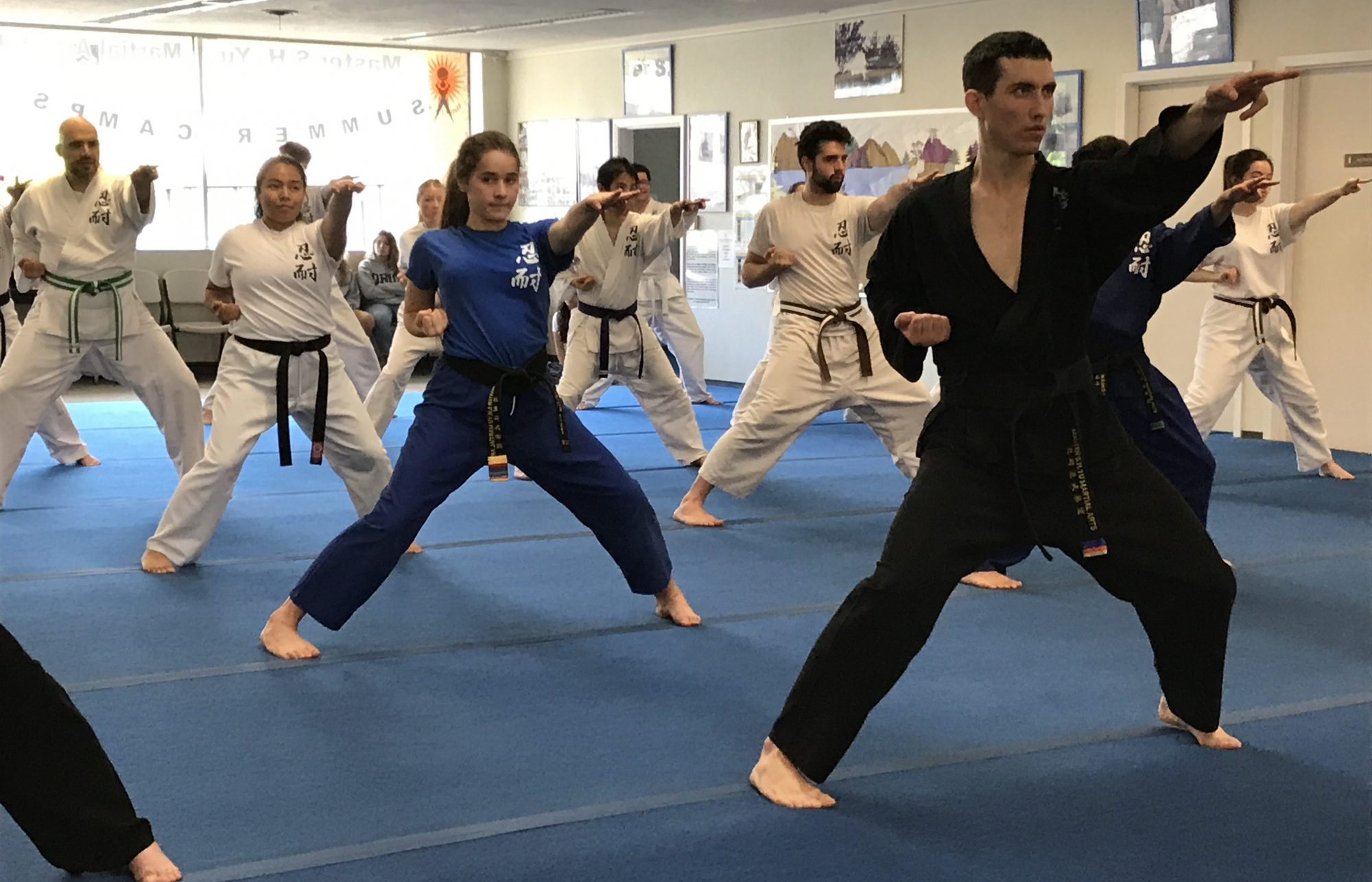 Self-Teaching Martial Arts: Possibilities and Limitations