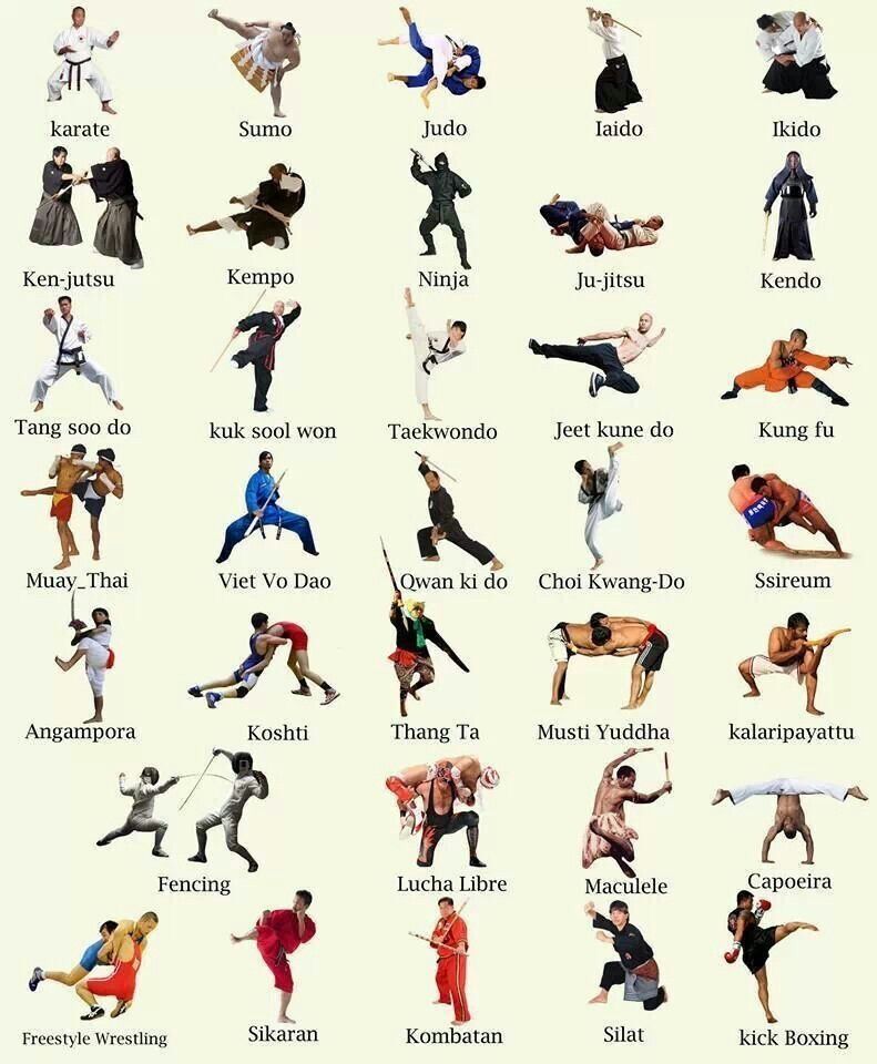 Martial Arts Comparison: Finding the Best Style for Your Goals
