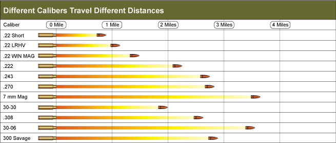 22 Caliber Bullet Velocity: Understanding Speed and Performance
