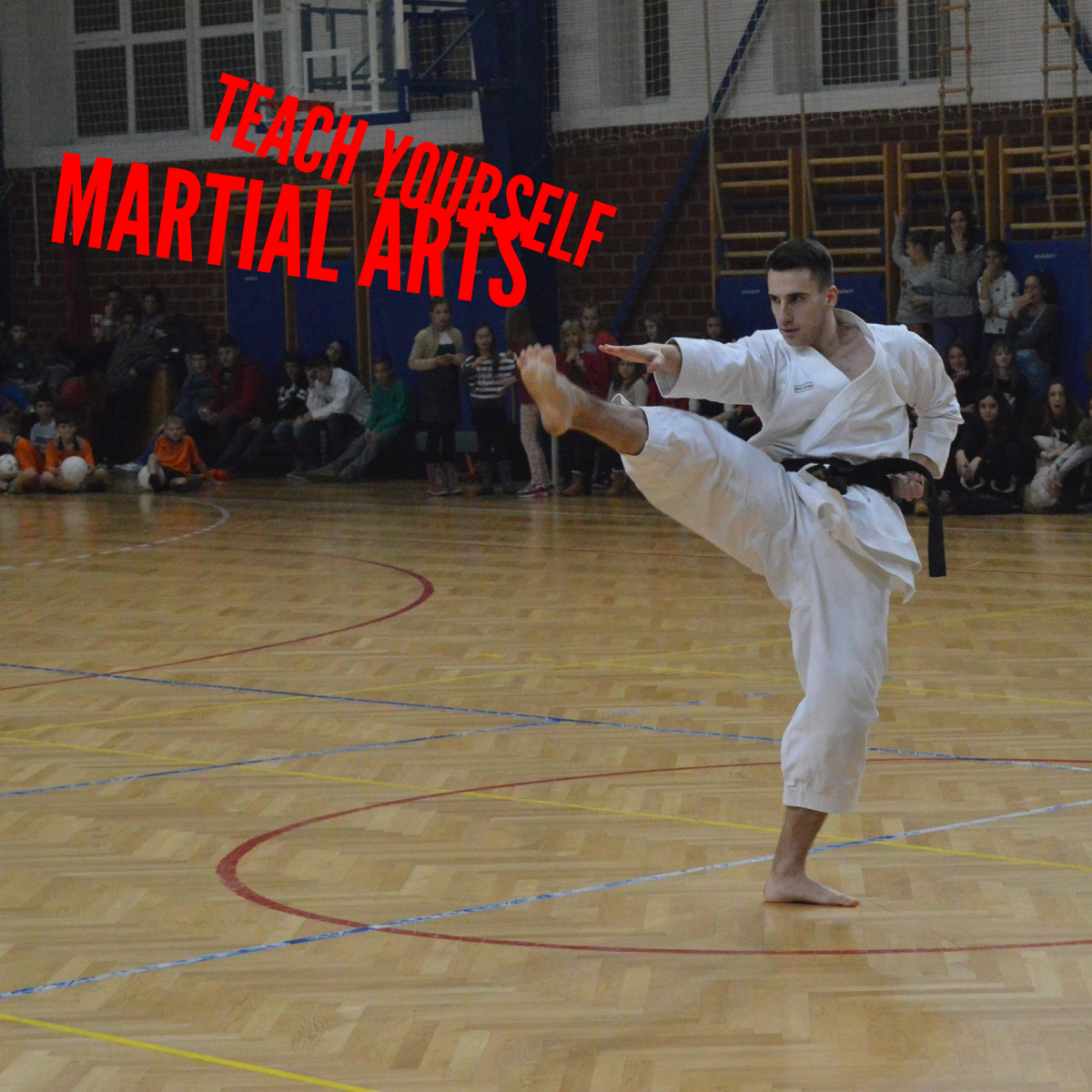 Learning Martial Arts at Home: Complete Self-Training Guide