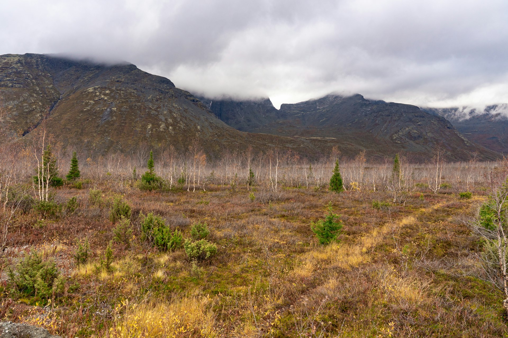 Harnessing Indigenous Knowledge for Sustainable Environmental Conservation