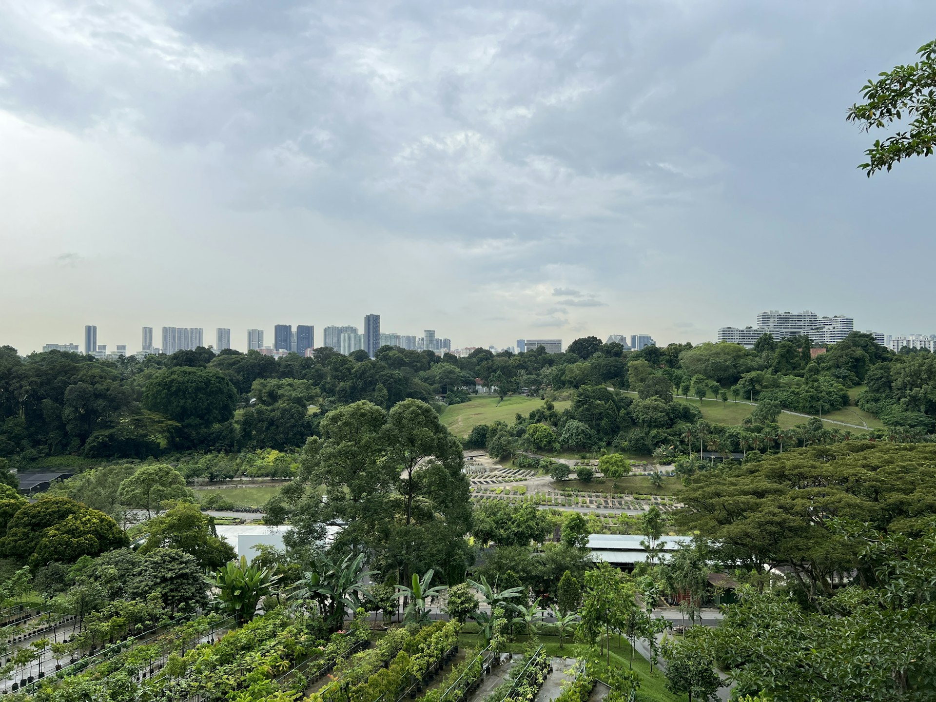 Actionable Strategies for Biodiversity Conservation in Urban Green Spaces