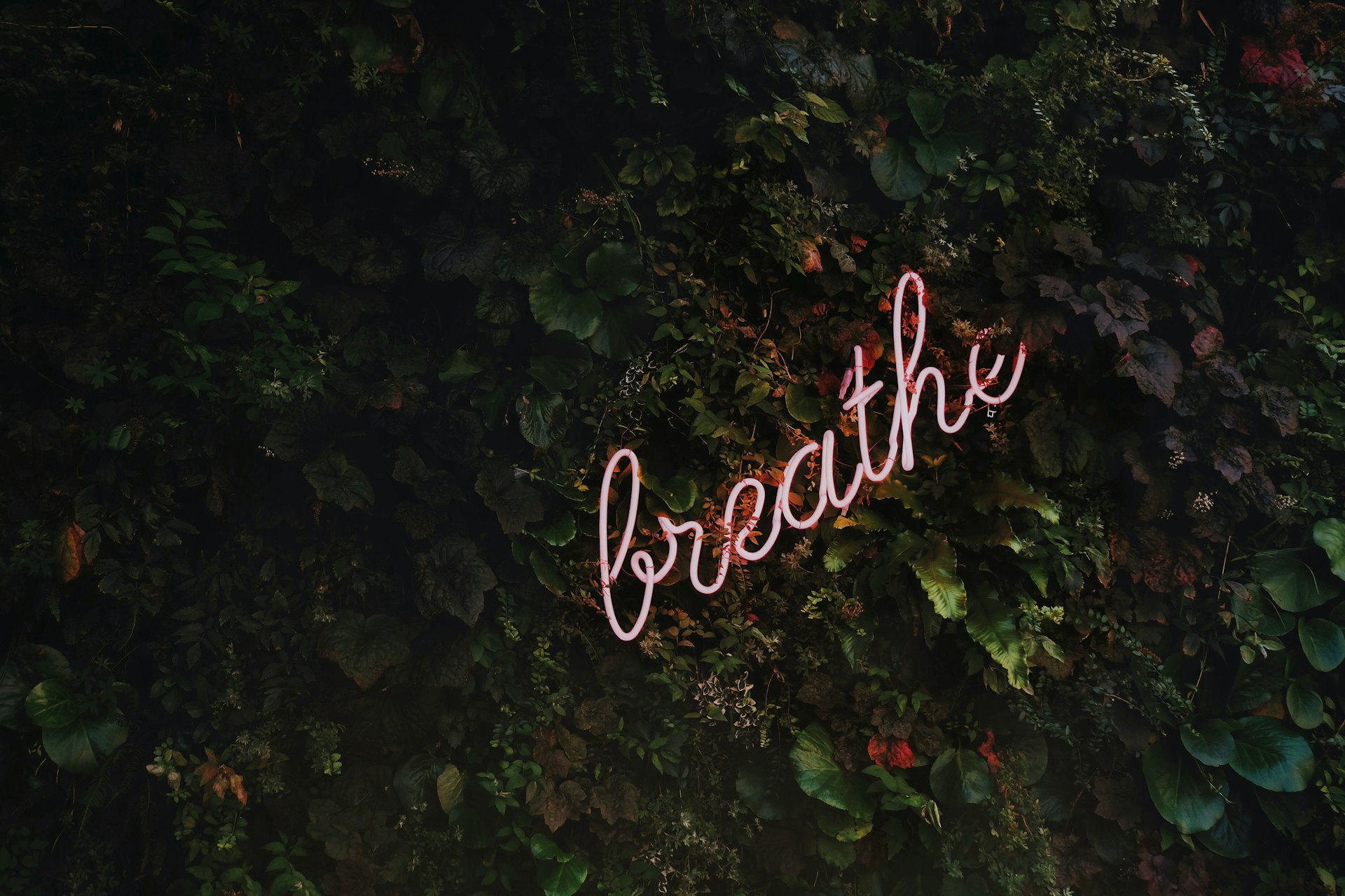 Building an Adaptive Wellness Lifestyle Through Breathwork: Practical Guidance for Everyday Health