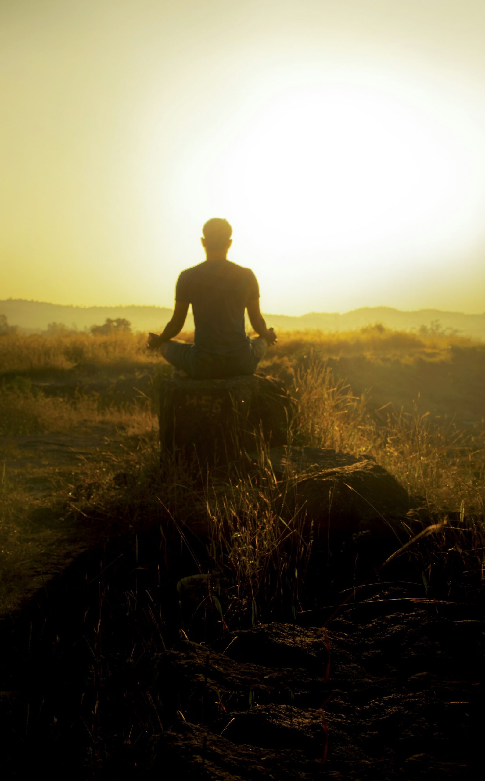 Unlocking Wellness: How Gratitude Practices Transform Mind, Body, and Spirit