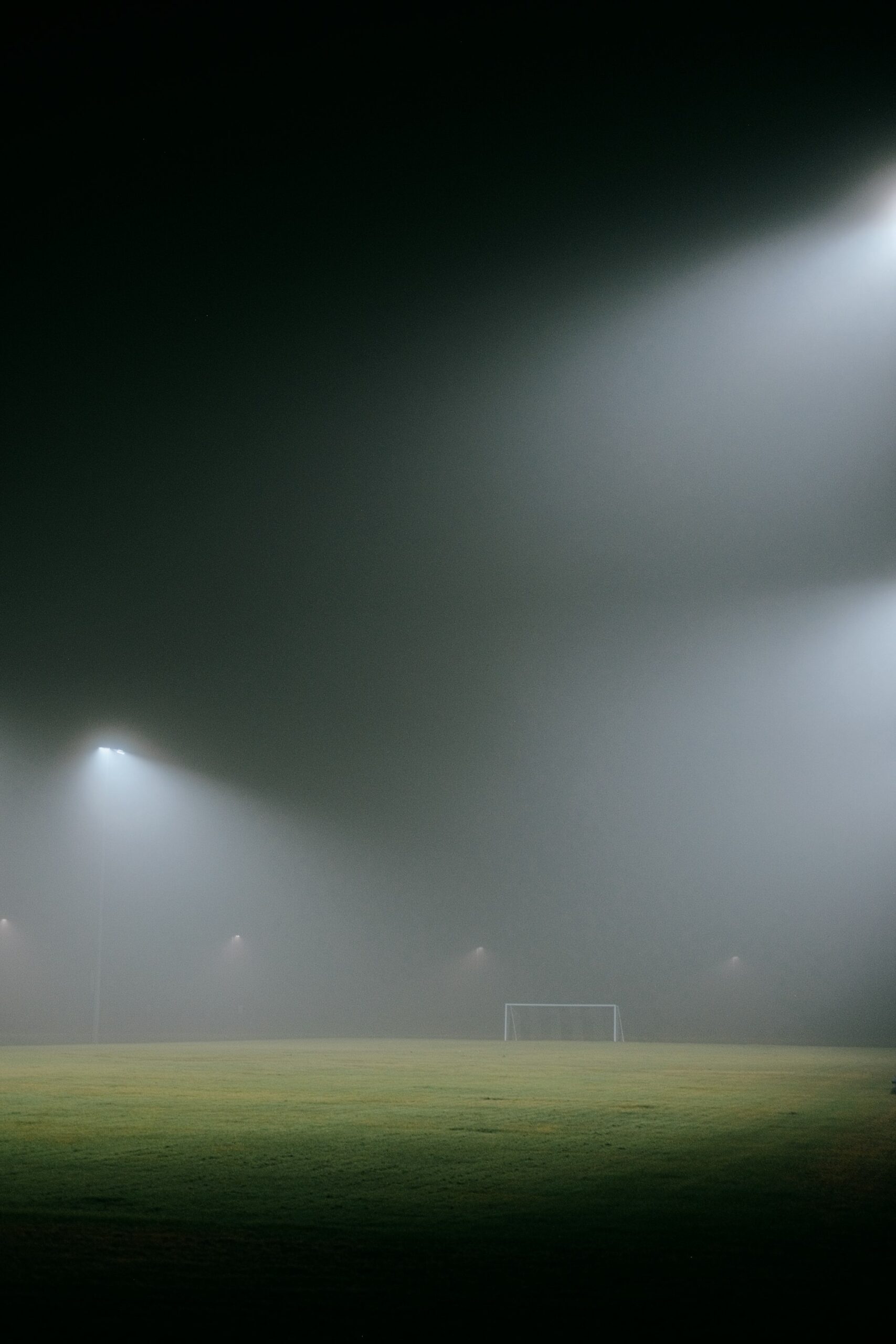 Navigating Change: The Lasting Impact of the Pandemic on Professional Sports Leagues