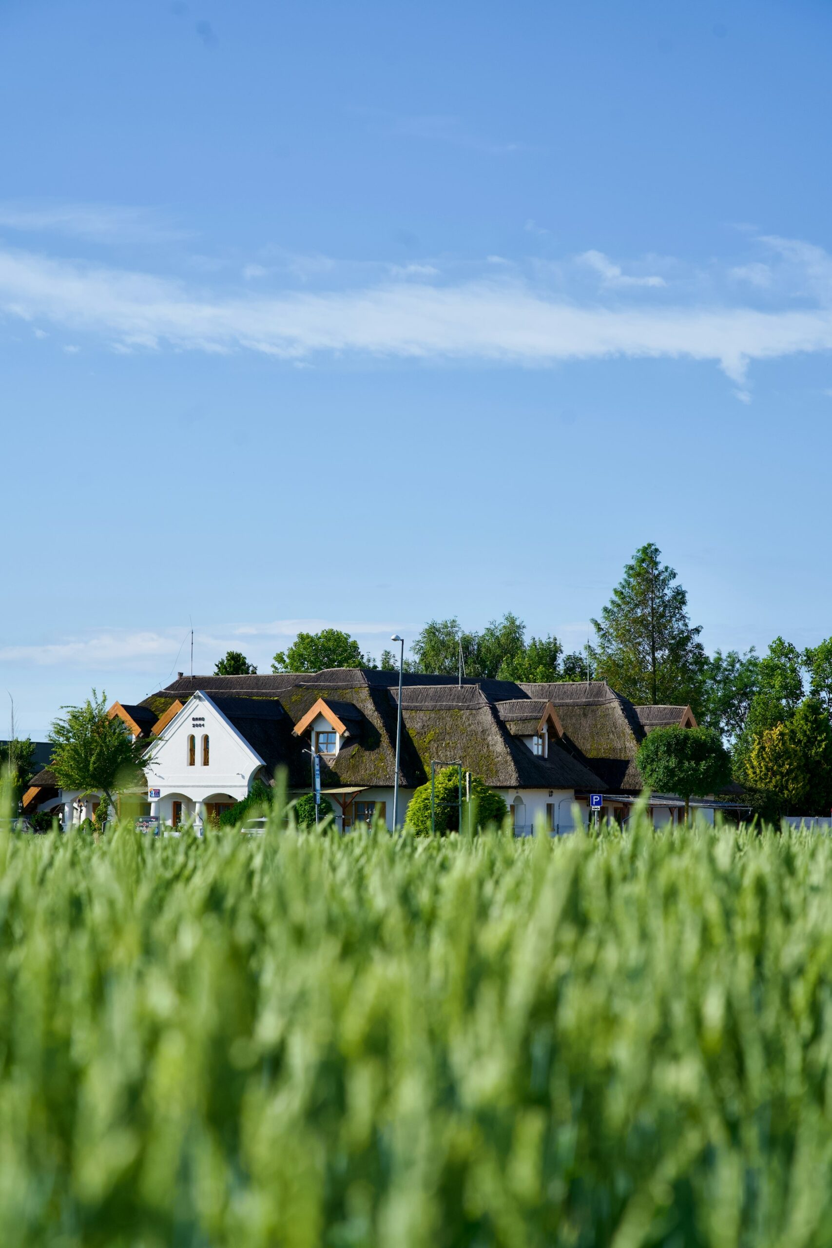 Unlocking Investment Value: Why Green Certifications Matter for Real Estate Investors